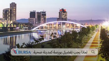 Why Bursa